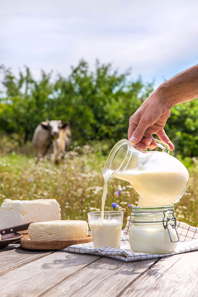 Milchprodukte im Hintergrund Kühe auf einer Weide.